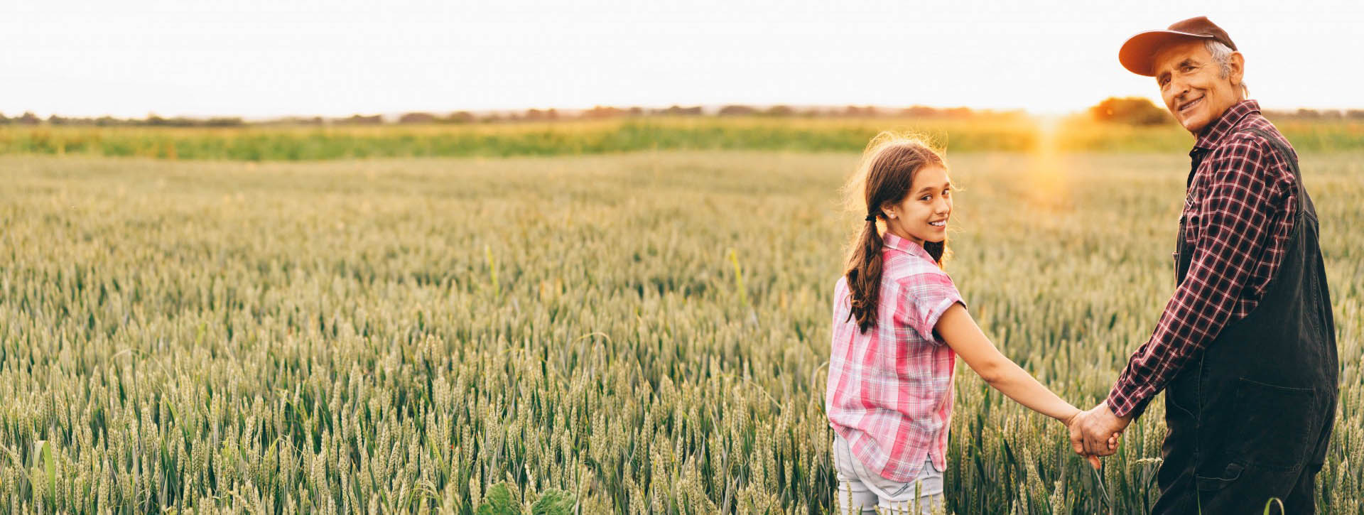 Rear view of senior farmer showing to his granddaughter a wheat field, holding hands.